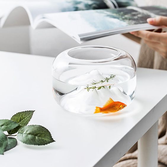 Trang trí bàn làm việc văn phòng với bể cá cảnh