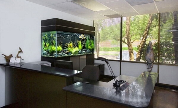 Ý tưởng trang trí văn phòng phổ biến hiện nay cho bạn không gian làm việc hoàn hảo - Ảnh 60